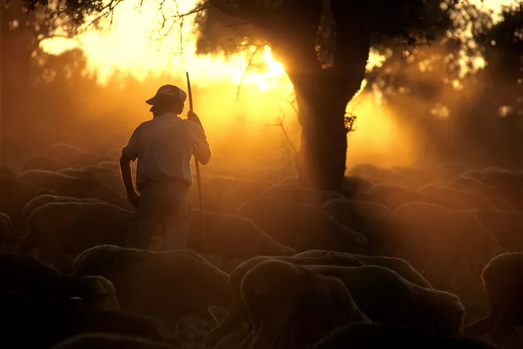 Verses for farmers 